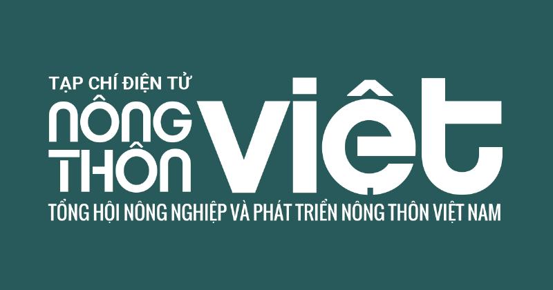 Một chậu lan hồ điệp được đặt trên một khay nhựa chứa sỏi và nước. Hơi nước bốc lên từ khay giúp tăng độ ẩm xung quanh cây. Lá cây trông xanh tươi và khỏe mạnh.